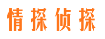 宝应市私家侦探